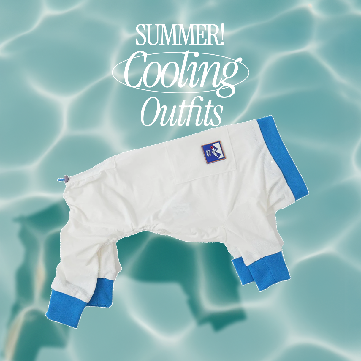 犬の夏用 接触冷感ロンパース|速乾・通気性抜群・害虫予防|プール・水遊びにも