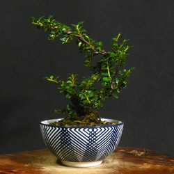 61632c458ee58198ca09c5c9a749fe