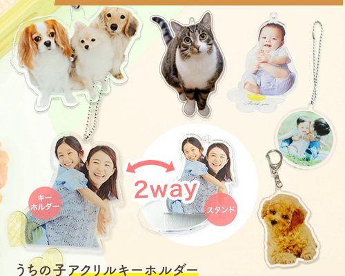 b16cffa245be0605867d8c9b5282bd