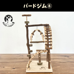 みんなで遊べる！バードアスレチック バードジム おもちゃ