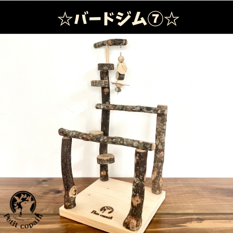 バードジム⑦  「【天然木・無農薬】自然採取木材を使用したバードトイ、バードジム 手作り一点もの 」