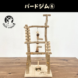 バードジム⑦ 「【天然木・無農薬】自然採取木材を使用したバードトイ