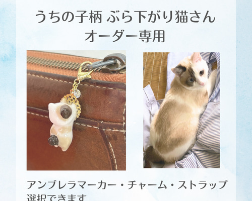 2b290b1c15ff9de1625a16b3fde1d9