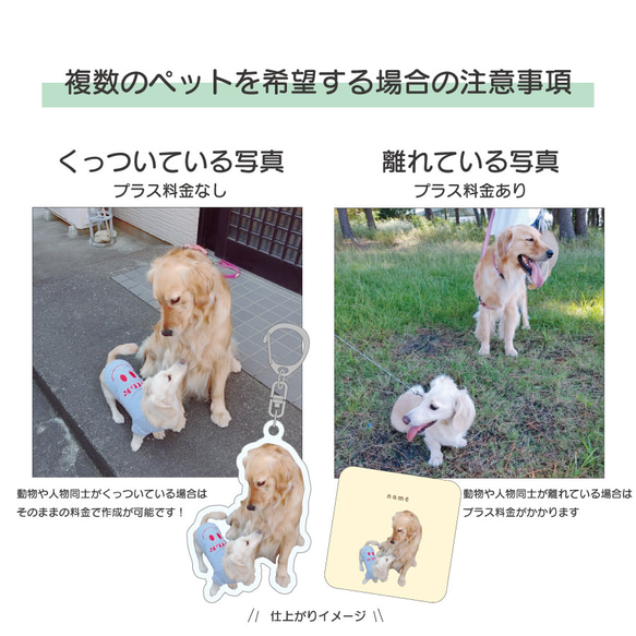 フェイスタオル 写真 名入れ オリジナル うちの子 ペット グッズ 7枚目の画像