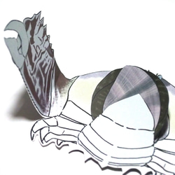 メガネカラッパのギフトレター 3枚目の画像