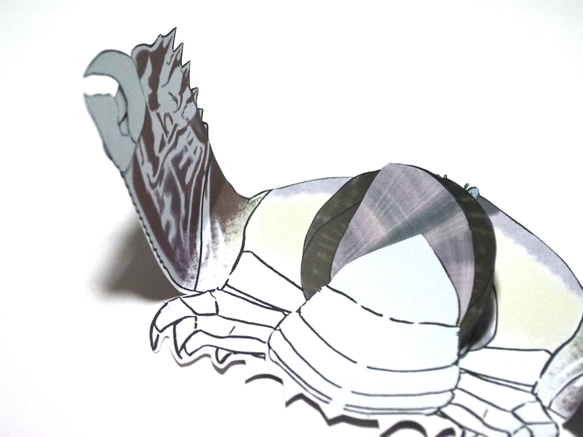 メガネカラッパのギフトレター 3枚目の画像