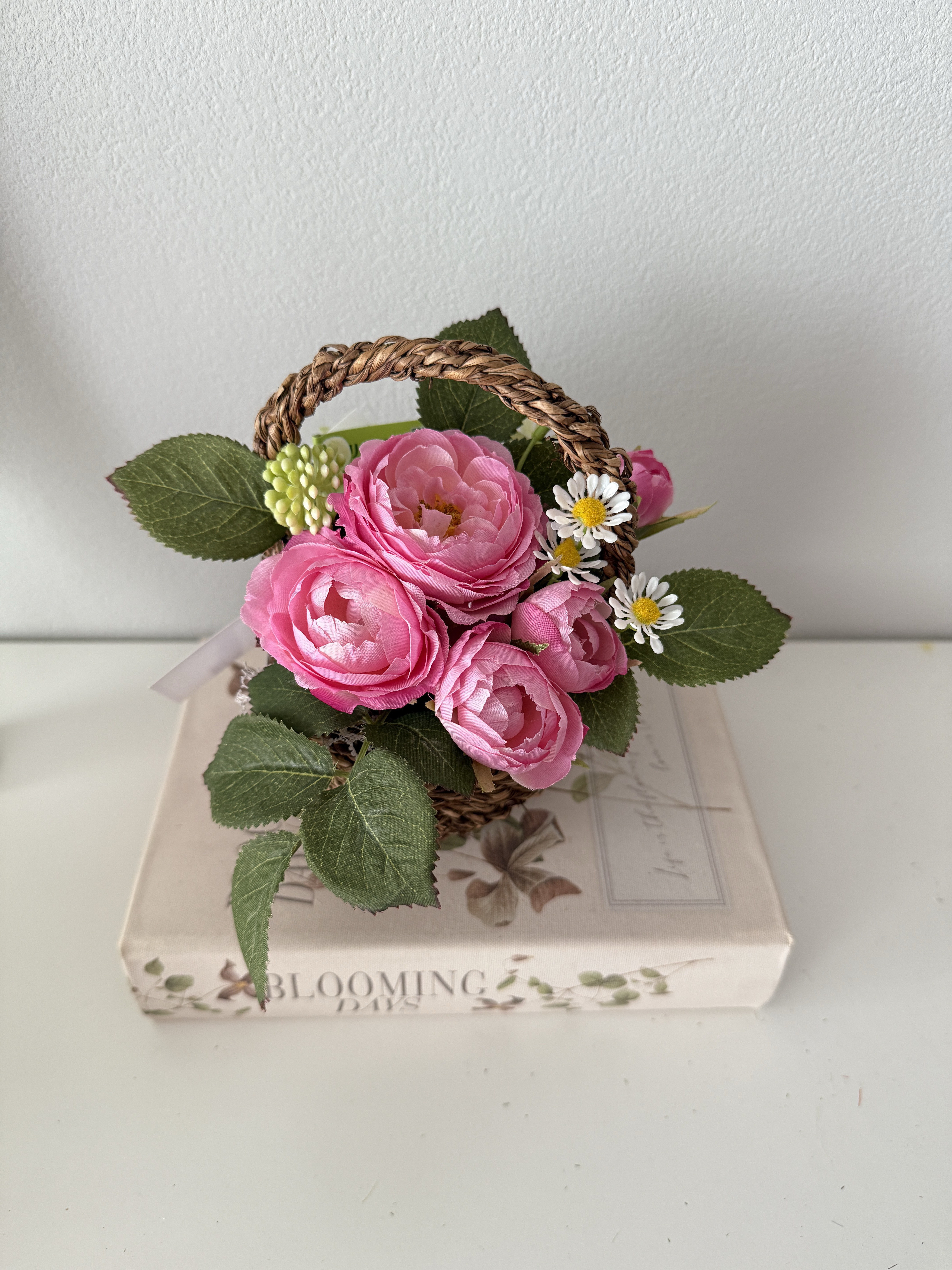 【消臭効果のあるお花】・ロゼフル（Ｓ) /カタリーヌフラワー (K124)