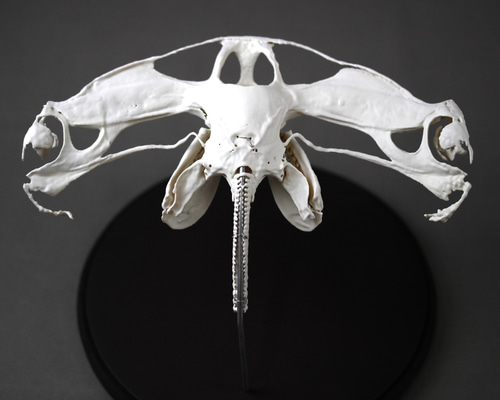 659cb96f0ca62ab9d08a20c8a66eee