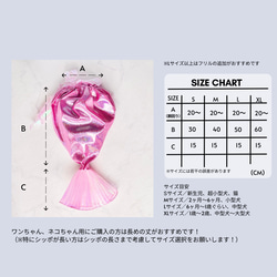  第2張的照片