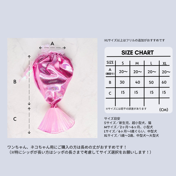 第2張的照片