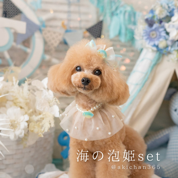  第1張的照片
