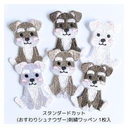 ハンドメイド　テディラビット　アナスタシアさん　オッドアイ Oddeye(オッドアイ)の販売中作品一覧 | ハンドメイド通販・販売のCreema