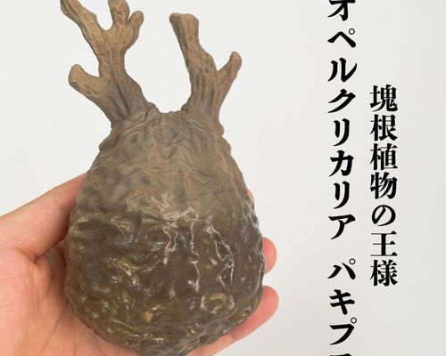 塊根植物植物の王 オペルクリカリア パキプス 自作フィギュア 置物 塊根植物植物の王 オペルクリカリア パキプス 自作フィギュア 置物