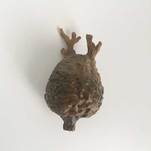 数量限定】オペルクリカリア・パキプス 10 フィギュア リアル塊根植物