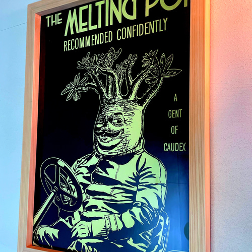 グラキリス プランツ ボタニカル ポスター アート 塊根植物 額縁 A2