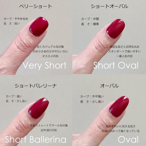 No.326　ネイルチップ　マーメイド　貝殻　人魚　海　夏　プリンセス　人魚姫 No.326 ネイルチップ マーメイド 貝殻 人魚 海 夏 プリンセス 人魚姫