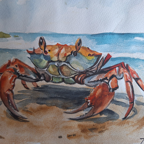 水彩画 カニが上陸！ 絵画 makochin 通販 19532200｜Creema