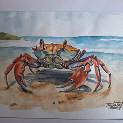 絵　絵画　水墨画　蟹　カニ　動物　心鏡　プレゼント　パーティー 9e6288db257dfde61de6628e8dd214
