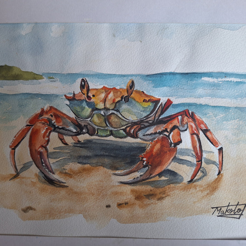 絵　絵画　水墨画　蟹　カニ　動物　心鏡　プレゼント　パーティー 水彩で描いたタラバ蟹 花咲蟹 ズワイガニ 渡蟹 毛蟹の水墨画風