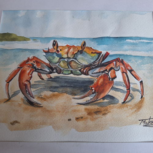 水彩画 カニが上陸！ 絵画 makochin 通販 19532200｜Creema