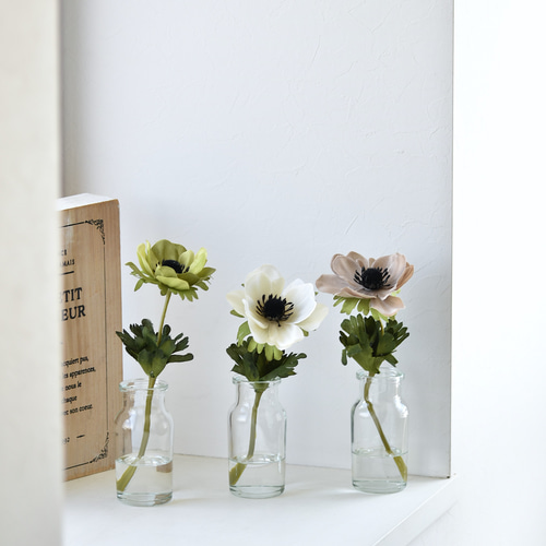 咲き続けるアネモネ(3点セット)マジカルウォーター 癒しのフラワー