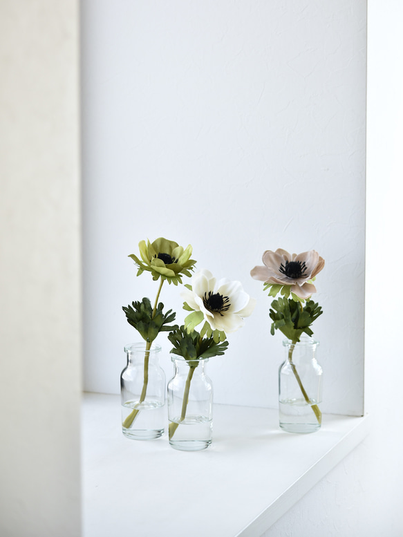 咲き続けるアネモネ(3点セット)マジカルウォーター 癒しのフラワー