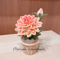 6ac68073dd7dbdca52ae80efe9b9af