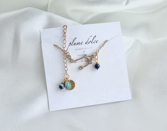 kyun様 予約オーダー品★双子座モチーフのネックレス 1枚目の画像