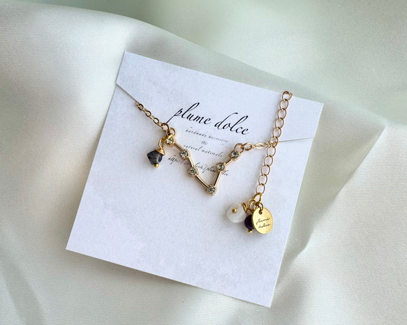 kyun様 予約オーダー品★双子座モチーフのネックレス 10枚目の画像