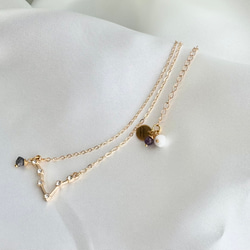 kyun様 予約オーダー品★双子座モチーフのネックレス 15枚目の画像