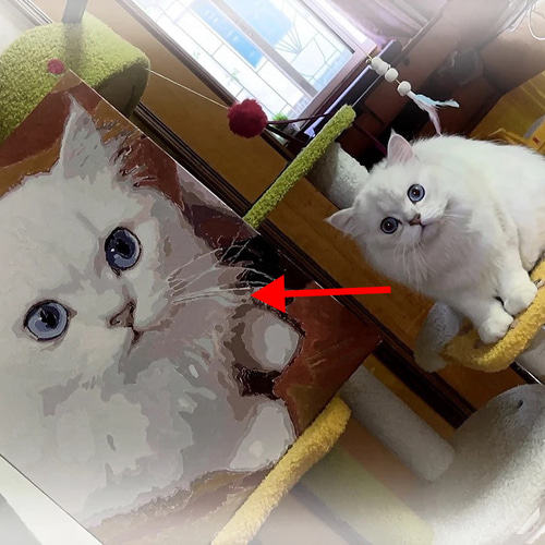 DIYペイントbyナンバー写真カスタムオーダー油絵ペット家族友人