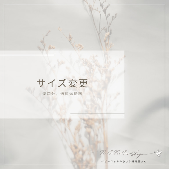  第1張的照片