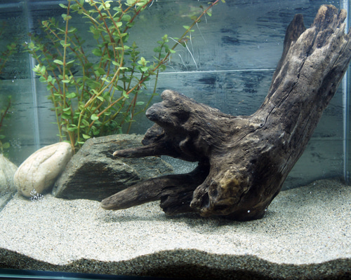 流木 大きめ アクアリウム 【アク抜き済み】 あく抜き不要！水に沈む状態でお届けします』アクアリウム 流木