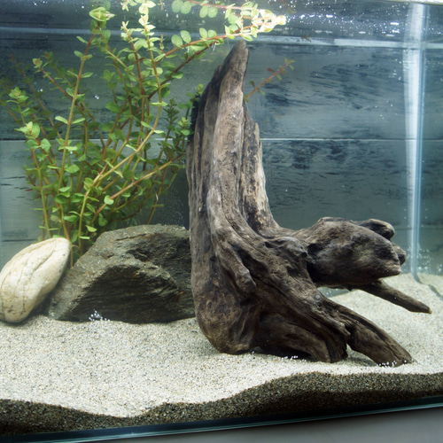 アク抜き不要！水に沈む状態でお届けします 流木 アクアリウム 熱帯魚 送料無料 あく抜き不要！水に沈む状態でお届けします』アクアリウム 流木