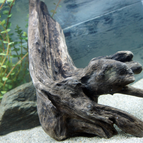 アク抜き不要！水に沈む状態でお届けします』アクアリウム 流木 あく