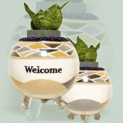 PlantsFactory＊の販売中作品一覧 | ハンドメイド通販・販売のCreema