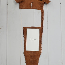 ワニ革  半艶マット バンビブラウン  No.C008509 8枚目の画像