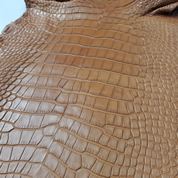 ワニ革  半艶マット バンビブラウン  No.C008509 15枚目の画像