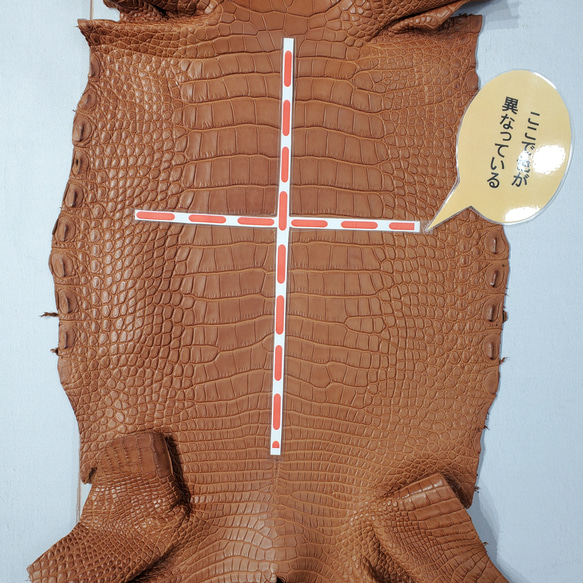 ワニ革  半艶マット バンビブラウン  No.C008509 9枚目の画像
