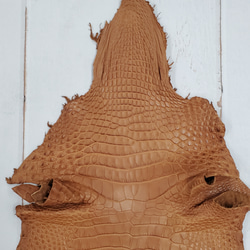 ワニ革  半艶マット バンビブラウン  No.C008509 3枚目の画像