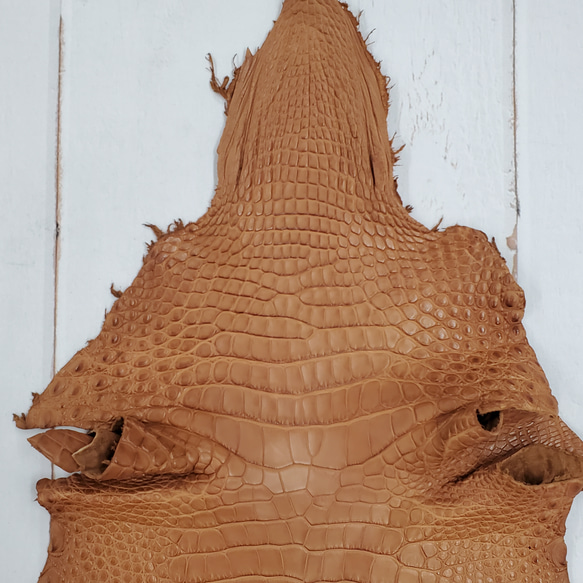 ワニ革  半艶マット バンビブラウン  No.C008509 3枚目の画像