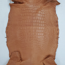 ワニ革  半艶マット バンビブラウン  No.C008509 4枚目の画像