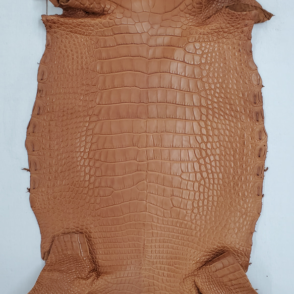 ワニ革  半艶マット バンビブラウン  No.C008509 4枚目の画像