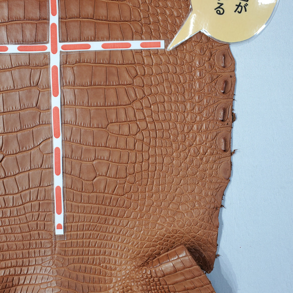 ワニ革  半艶マット バンビブラウン  No.C008509 13枚目の画像