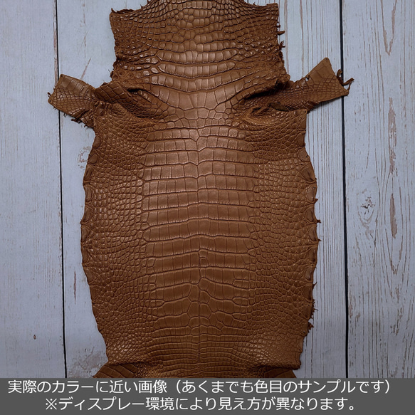 ワニ革  半艶マット バンビブラウン  No.C008509 2枚目の画像