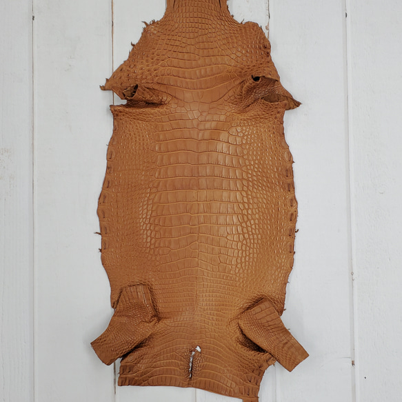 ワニ革  半艶マット バンビブラウン  No.C008509 1枚目の画像