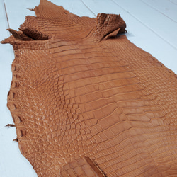 ワニ革  半艶マット バンビブラウン  No.C008509 14枚目の画像