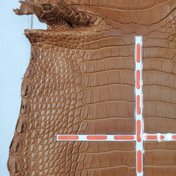 ワニ革  半艶マット バンビブラウン  No.C008509 10枚目の画像