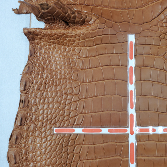 ワニ革  半艶マット バンビブラウン  No.C008509 10枚目の画像