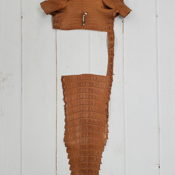 ワニ革  半艶マット バンビブラウン  No.C008509 5枚目の画像